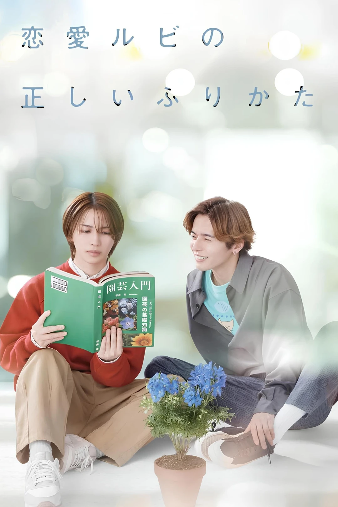 Cách Viết Tình Yêu Đúng Cách (The Proper Way to Write Love) [2025]