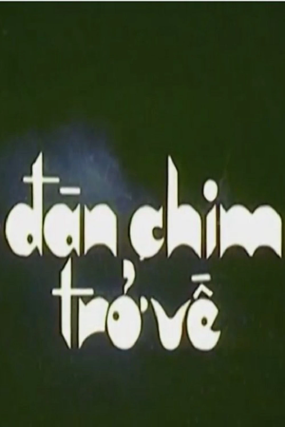 Đàn Chim Trở Về (Birds Return) [1984]