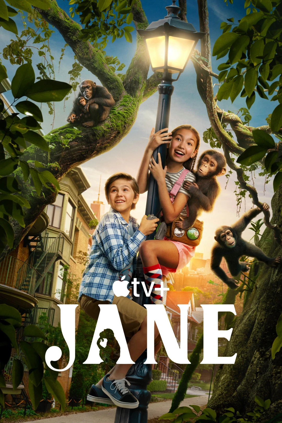 Jane (Phần 3) (Jane (Season 3)) [2025]