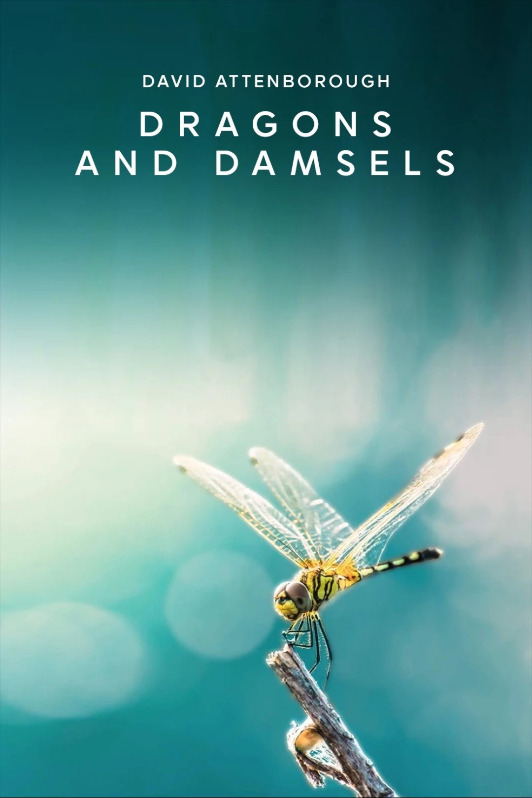 Loài Chuồn Chuồn (Dragons and Damsels) [2019]