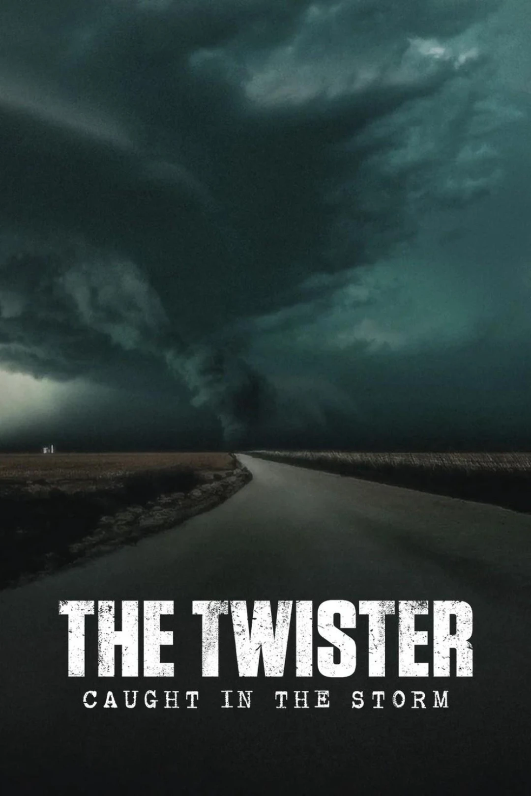 Lốc Xoáy: Kẹt Trong Tâm Bão (The Twister: Caught in the Storm) [2025]