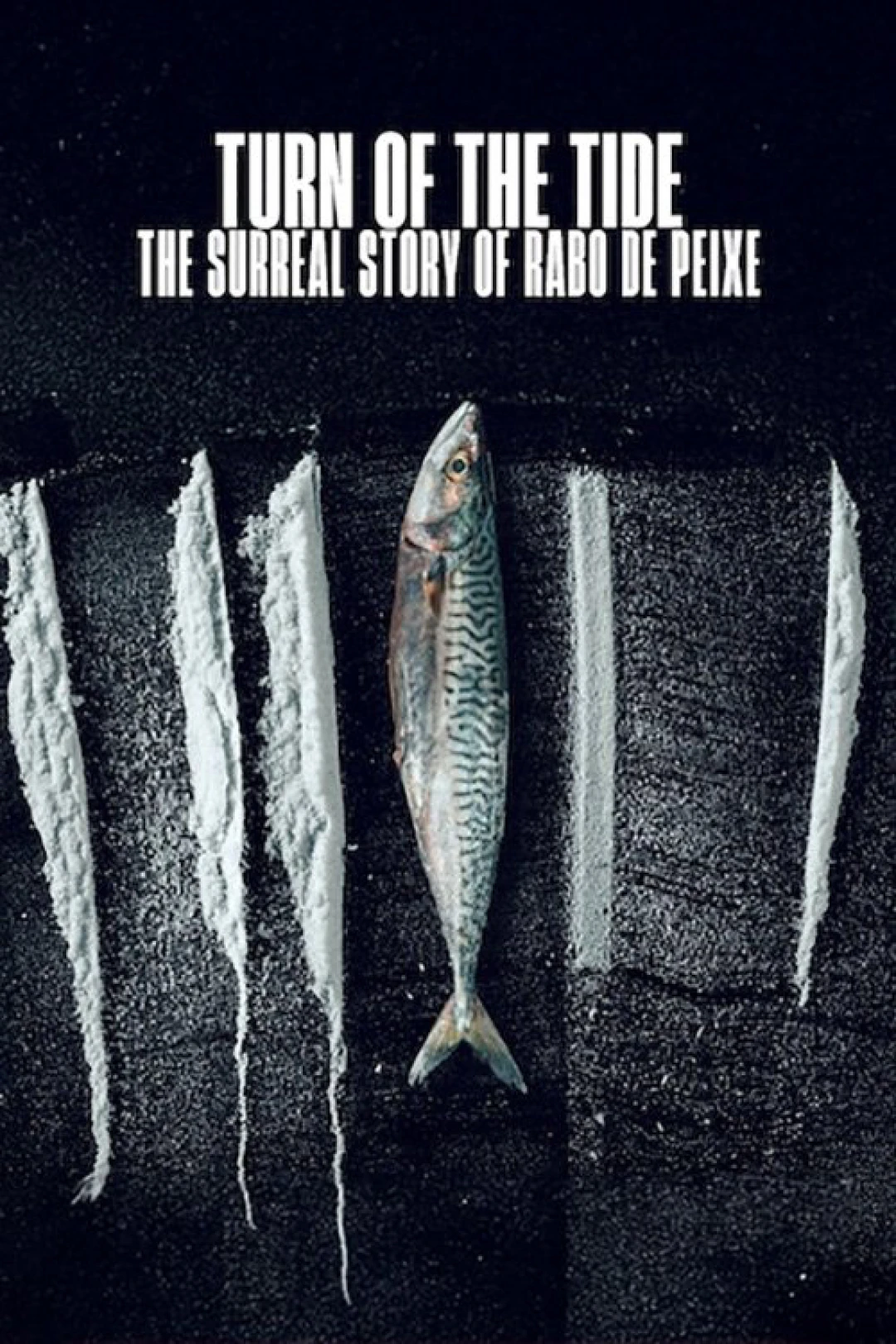 Sống Triều Đổi Vận: Câu Chuyện Siêu  Thực Tế Rabo de Peixe (Turn of the Tide: The Surreal Story of Rabo de Peixe) [2025]