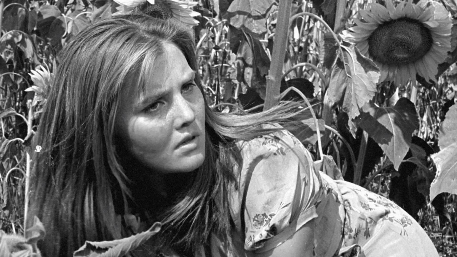 Tấn công và rút lui